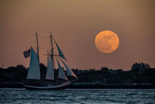 Jadi Tuan Rumah Sail Indonesia 2019, Apa Keunggulan Nias?